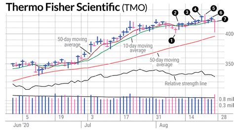 tmos|tmo stock forecast.